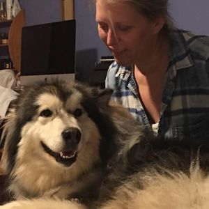 Meet your Posher, Bambi